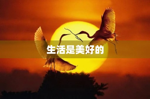 生活是美好的 生活是美好的