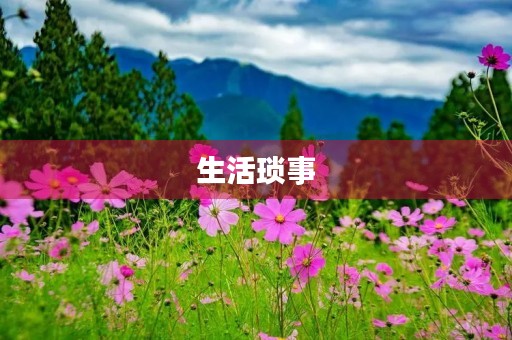 生活琐事,随笔日记 生活琐事,随笔日记
