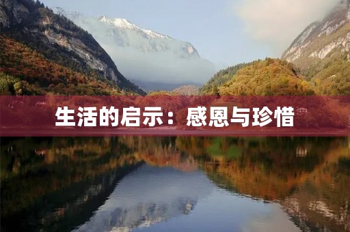 生活的启示：感恩与珍惜