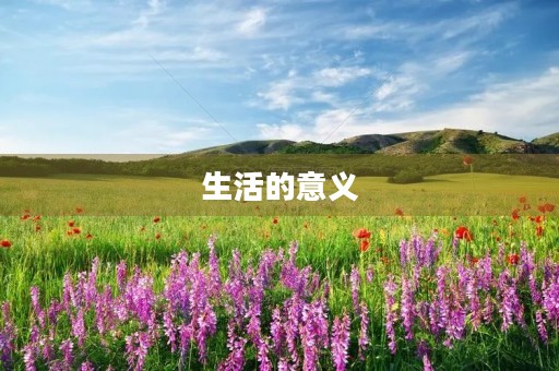 生活的意义