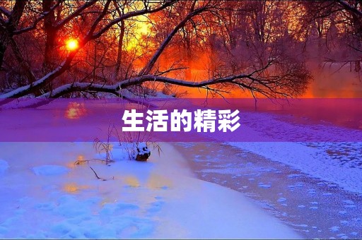 生活的精彩