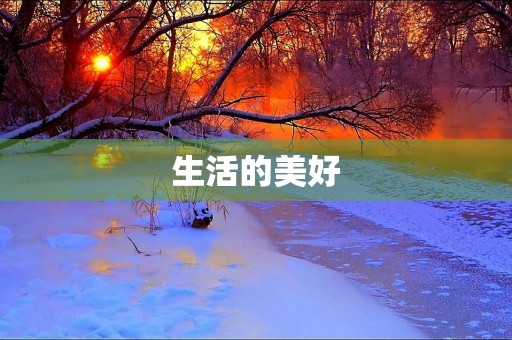 生活的美好