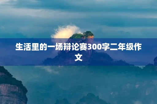 生活里的一场辩论赛300字二年级作文