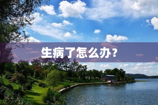 生病了怎么办? 生病了怎么办?