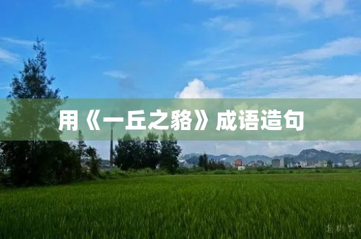 用《一丘之貉》成语造句 用《一丘之貉》成语造句