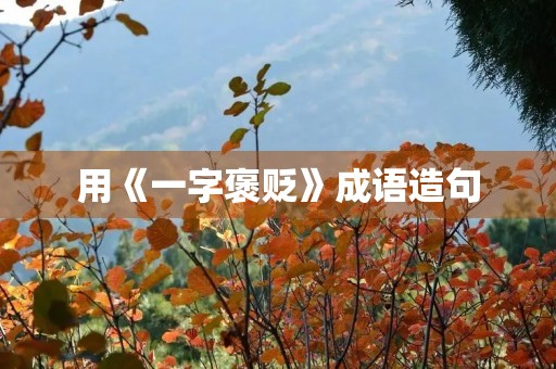 用《一字褒贬》成语造句 用《一字褒贬》成语造句