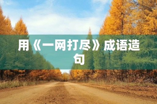 用《一网打尽》成语造句