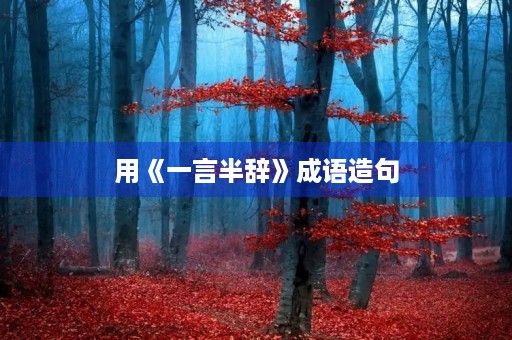 用《一言半辞》成语造句