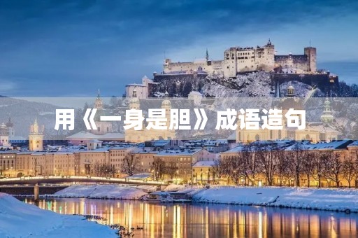 用《一身是胆》成语造句 用《一身是胆》成语造句