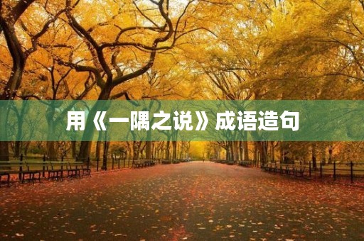用《一隅之说》成语造句 用《一隅之说》成语造句