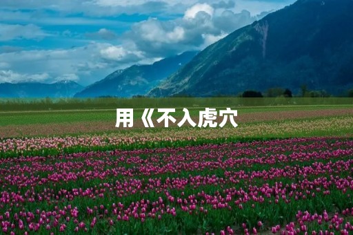 用《不入虎穴，不得虎子》成语造句
