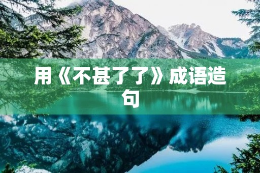 用《不甚了了》成语造句