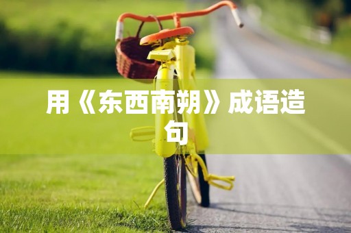 用《东西南朔》成语造句 用《东西南朔》成语造句