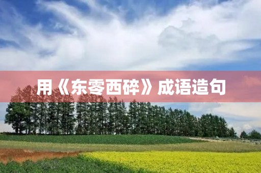 用《东零西碎》成语造句