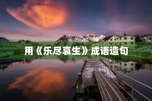 用《乐尽哀生》成语造句