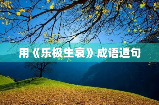 用《乐极生哀》成语造句 用《乐极生哀》成语造句