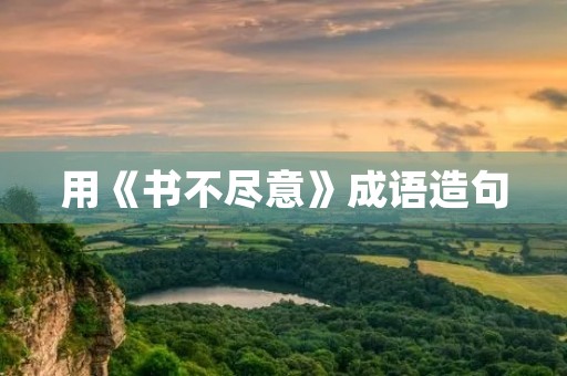 用《书不尽意》成语造句