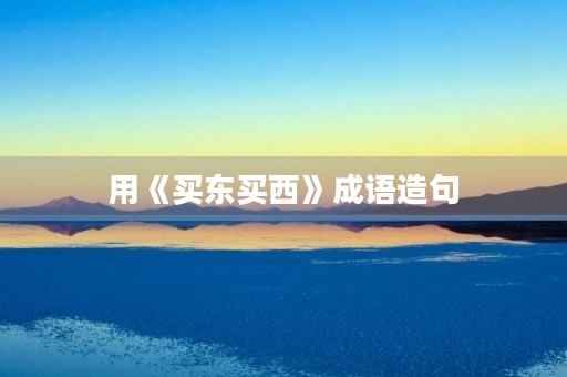 用《买东买西》成语造句 用《买东买西》成语造句