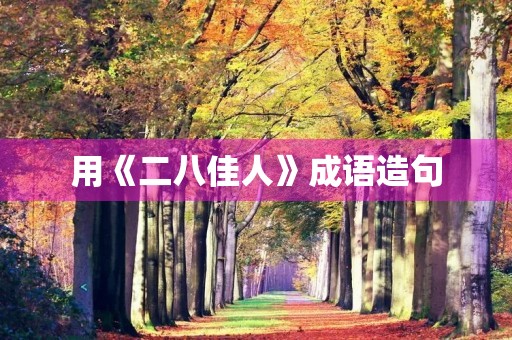 用《二八佳人》成语造句 用《二八佳人》成语造句