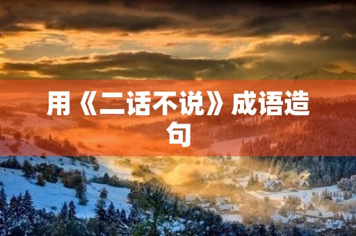 用《二话不说》成语造句