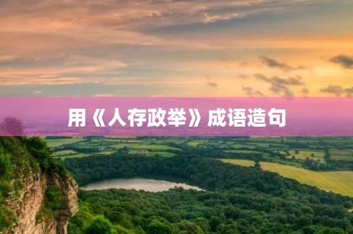 用《人存政举》成语造句
