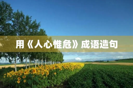 用《人心惟危》成语造句,不少于15条: 用《人心惟危》成语造句,不少于15条: