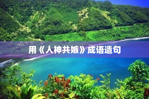 用《人神共嫉》成语造句