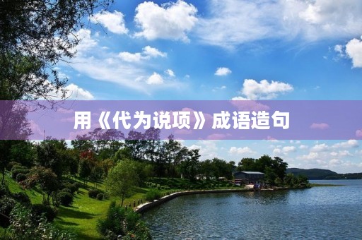 用《代为说项》成语造句