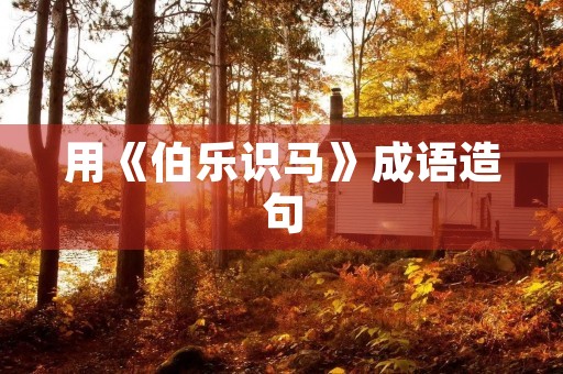 用《伯乐识马》成语造句 用《伯乐识马》成语造句