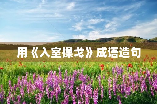 用《入室操戈》成语造句 用《入室操戈》成语造句