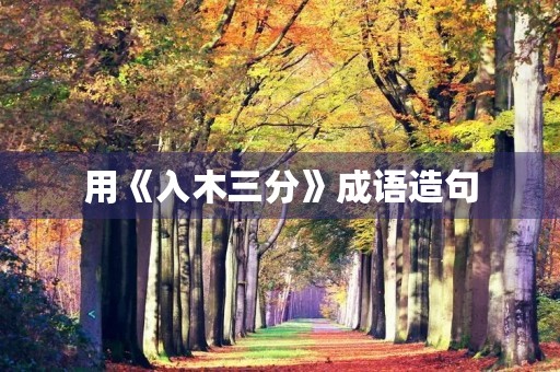 用《入木三分》成语造句 用《入木三分》成语造句