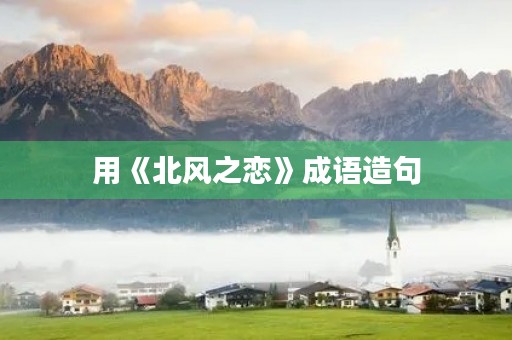 用《北风之恋》成语造句