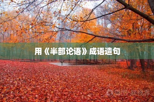用《半部论语》成语造句