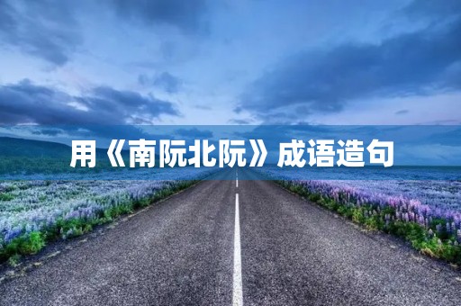 用《南阮北阮》成语造句 用《南阮北阮》成语造句