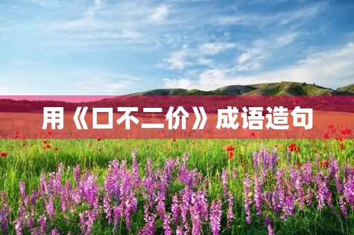 用《口不二价》成语造句 用《口不二价》成语造句