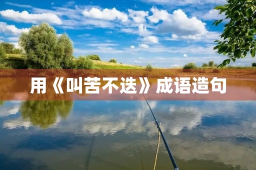 用《叫苦不迭》成语造句 用《叫苦不迭》成语造句