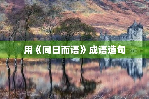 用《同日而语》成语造句
