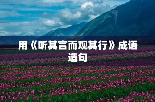 用《听其言而观其行》成语造句 用《听其言而观其行》成语造句
