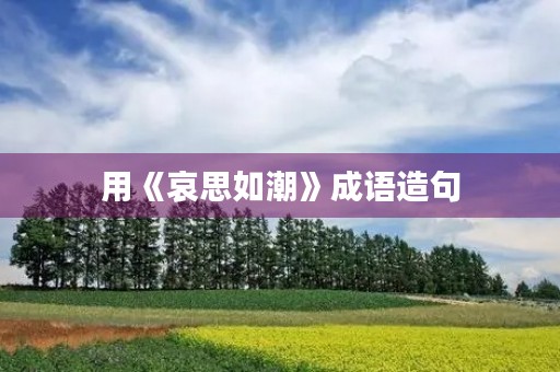 用《哀思如潮》成语造句 用《哀思如潮》成语造句