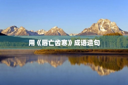 用《唇亡齿寒》成语造句 用《唇亡齿寒》成语造句