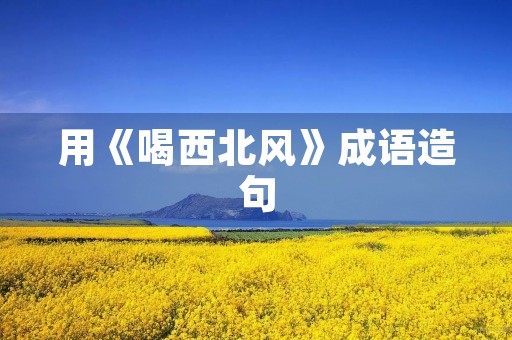 用《喝西北风》成语造句 用《喝西北风》成语造句