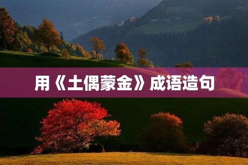 用《土偶蒙金》成语造句