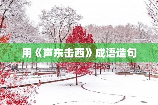 用《声东击西》成语造句 用《声东击西》成语造句