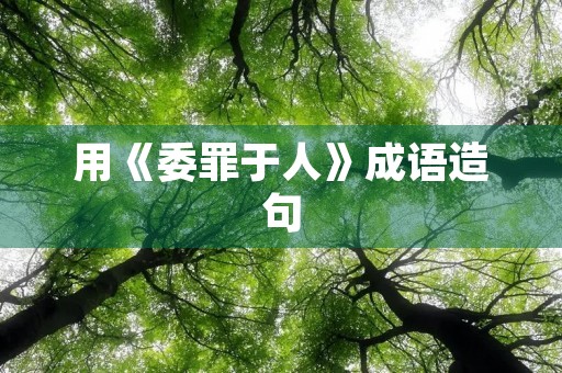 用《委罪于人》成语造句 用《委罪于人》成语造句