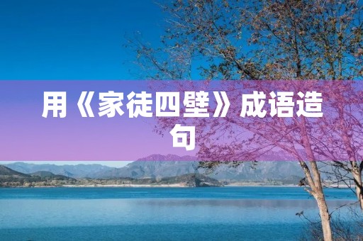 用《家徒四壁》成语造句