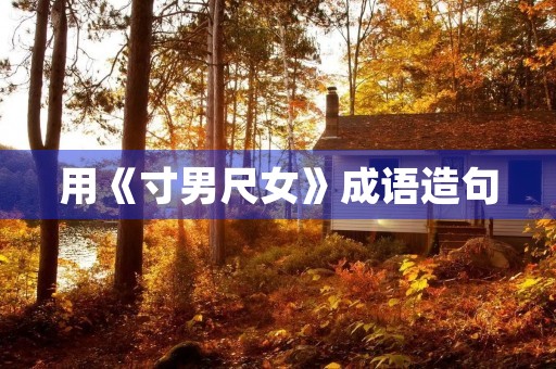 用《寸男尺女》成语造句