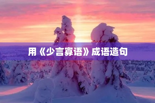 用《少言寡语》成语造句