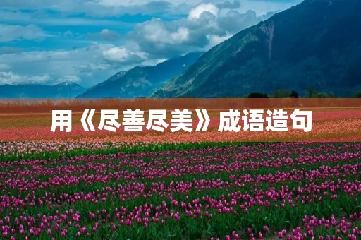 用《尽善尽美》成语造句 用《尽善尽美》成语造句
