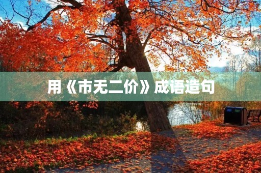 用《市无二价》成语造句 用《市无二价》成语造句
