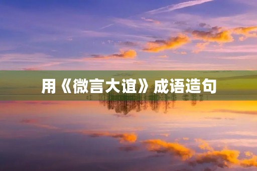 用《微言大谊》成语造句
